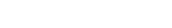 公司優勢